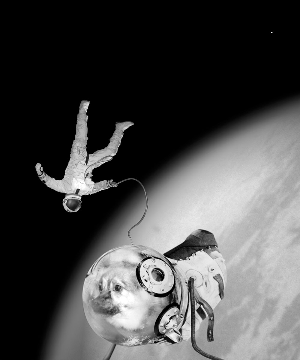 sputnik-chien
