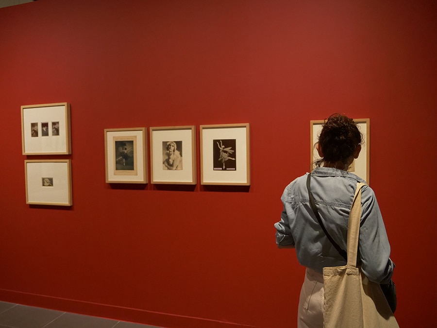 visita exposición Pavlova